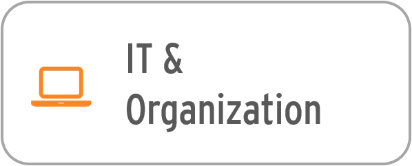 It & Organization